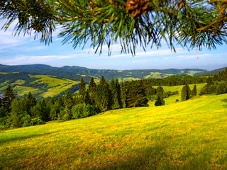 Beskid Sadecki and Radziejowej Range from Pieniny Mountains in summer. View from near Mount Jarmuta.