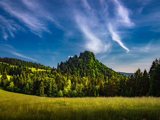 Mount Rabsztyn in summer. Pieniny Mountains, Poland.