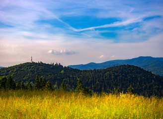 Mount Jarmuta in summer. Pieniny Mountains, Poland.