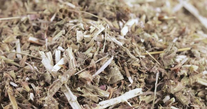 Motherwort grass in bulk