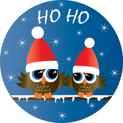 merry christmas two adorable owls