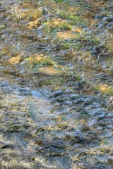 Little creek with stones and moss