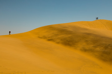 Fototapeta na wymiar Düne 7 in Namibia