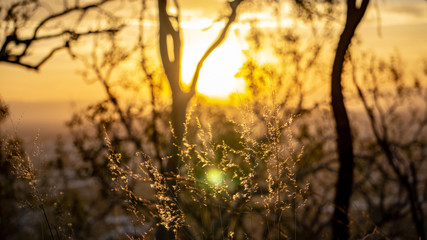 Obraz premium Sunset from Castle Hill, Queensland, Australia 