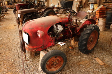 Obraz premium Trattore