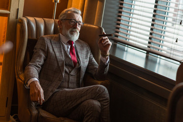 Portrait of experienced unshaven grey-haired pensioner smoking cigar while sitting in arm-chair in...