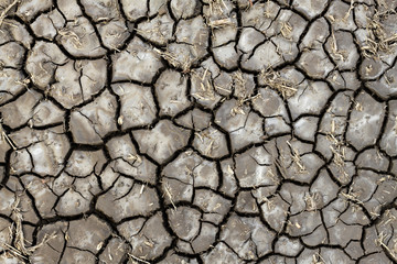 Dry soil texture