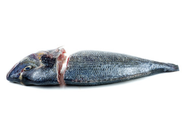 Ready to cook fresh dorado fish isolated on white background.