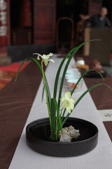 Life style of Chinese tea ceremony - 238007310
