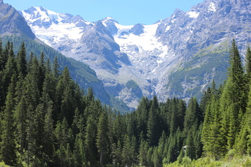 ortler süd tirol