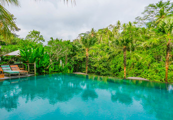 infinity pool at tropical luxury resort in Asia with view to the jungle in holidays travel and tourism concept