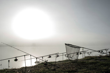 Carp rods lined up in a row on the stands with a pickup in the morning fog in anticipation of a...