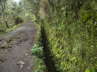 Parque Natural da Madeira