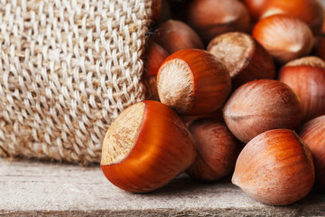 Hazelnuts in a cover, poured out from a bag from burlap on a gray wooden table