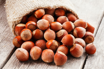 Hazelnuts in a cover, poured out from a bag from burlap on a gray wooden table