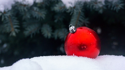 Red Christmas ball on the snow against the backdrop of the Christmas tree. Close-up red ball....
