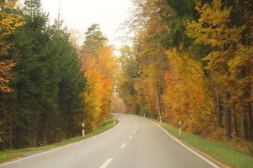 Fototapeta premium Herbstliche Landschaft