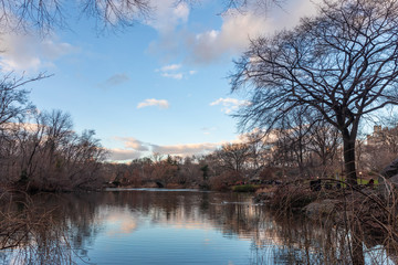 Obraz premium Central park in Manhattan, New York