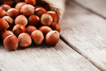 Hazelnuts in a cover, poured out from a bag from burlap on a gray wooden table