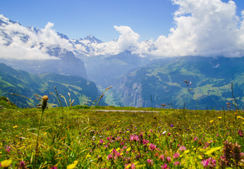 Obraz premium Alpine peaks landskape. Lauterbrunnen, Jungfrau, Bernese highland. Alps, tourism, journey, hiking concept.