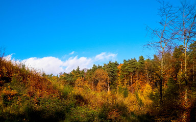 Beautiful Polish golden autumn.