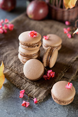 chocolate macarons decorated flowers and leaves