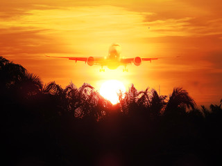 Fototapeta na wymiar Double exposure of airplane and tree silhouette