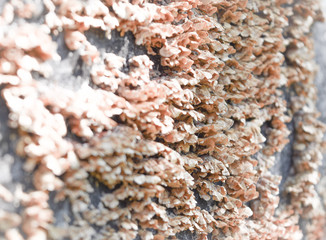 Beauty in the Breakdown