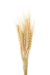 Fototapeta premium pearls barley grain seed on background