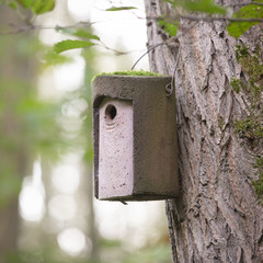 birdhouse