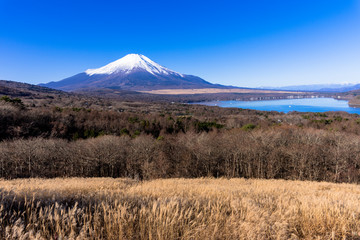 山中湖より富士山