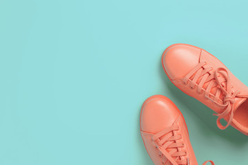 Pair of coral shoes on blue background.