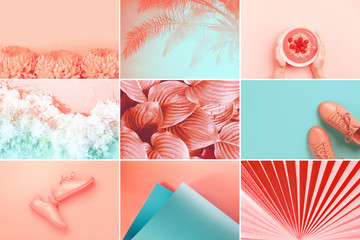 Collage made of nine photos in trendy living coral color. Trendy color of the 2019: Living Coral...