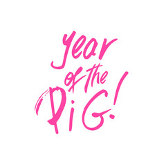 2019 Pink Hand drawn Lettering with Year of the Pig Slogan or Phrase. Isolated Brushlettering Scribbles. Use for Laser Cut and Christmas Gift Banner Design. Vector Concept