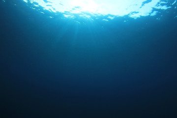 Fototapeta na wymiar Underwater 