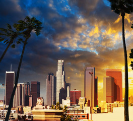 Fototapeta premium Palm trees silhoeuttes with downtown Los Angeles on the background at sunset