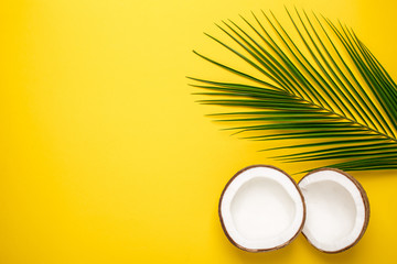 Tropical coconut and palm tree on yellow background