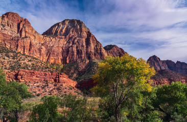 Zion National Park