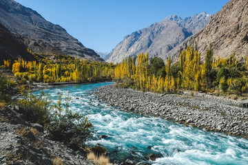 Autumn scene, blue turquoise water of Gilgit river flowing through Gupis, Ghizer, Gilgit-Baltistan, Pakistan. - obrazy, fototapety, plakaty