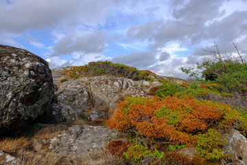green and orange bushes at the rocks, white and gray clouds in the background