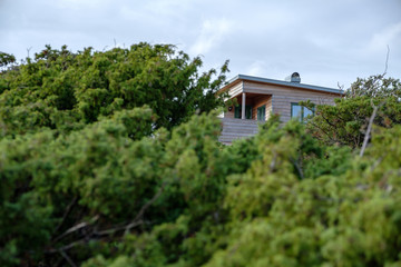 Fototapeta na wymiar small wooden house looks behind green bushes