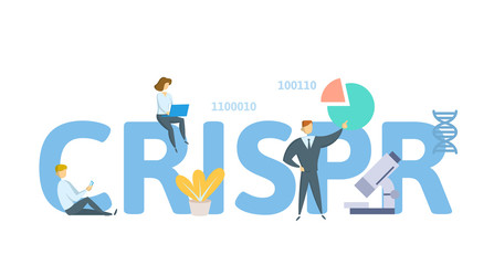 CRISPR, Genome Editing Technology. Concept with keywords, letters and icons. Colored flat vector illustration on white background. Isolated.