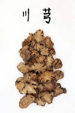 Szechuan lovage root herb used in  chinese herbal medicine with calligraphy script. Translation reads as szechwan lovage. Used as an anti inflammatory & is anti bacterial.  Chuan xiong.