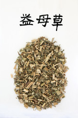 Motherwort herb used in chinese herbal medicine with calligraphy script, promotes circulation, regulates menses, promotes urination, relieves swelling & edema. Translation reads as chinese motherwort.
