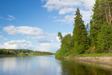 Summer landscape on the river