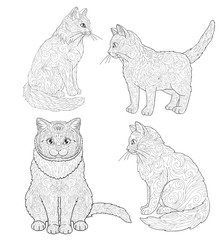 Cat and kitten coloring book page set. Doodle ornamental animal.