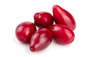 Red berries of cornel or dogwood isolated on white background