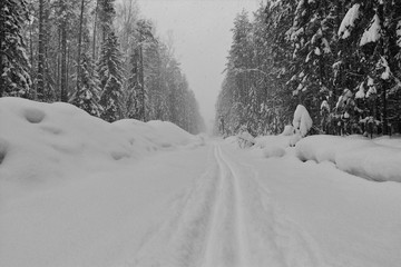 Obraz premium heavy snowfall in the forest and a ski track