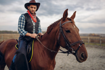 Fototapeta premium Cowboy riding a horse in desert valley, western