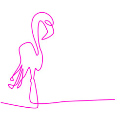 Pink flamingo line art